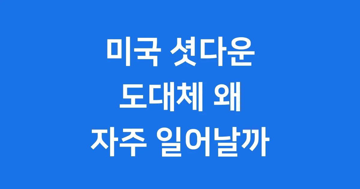 미국 셧다운 원인 사례 경제 영향