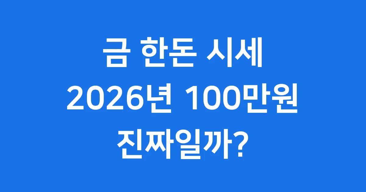 금 한돈 시세 2026년 100만원 돌파 진짜일까